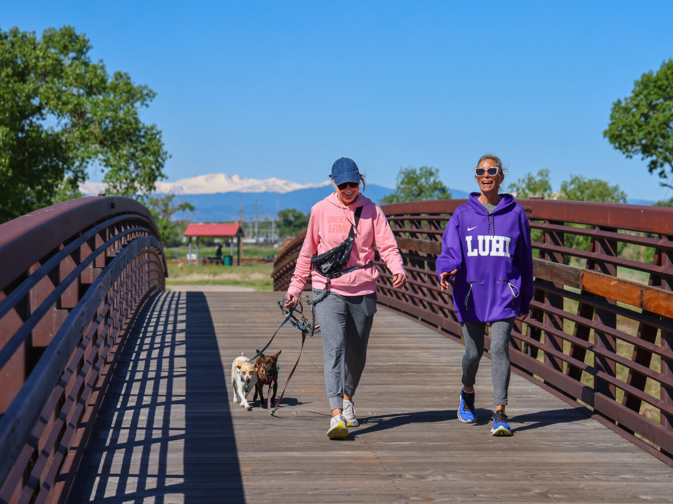 Two people walking dogs on a bridge, under blue sky.
