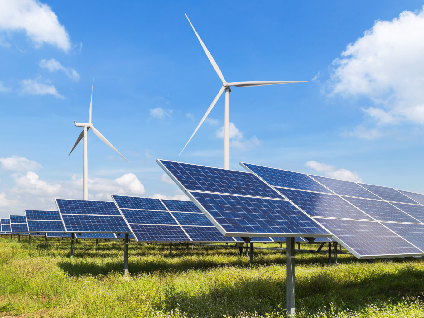 Solar panels and wind turbines in a grassy field under a blue sky